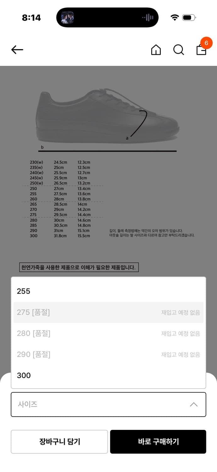 페몬트 dress 드레스 스니커즈 차콜 270 상품이미지3