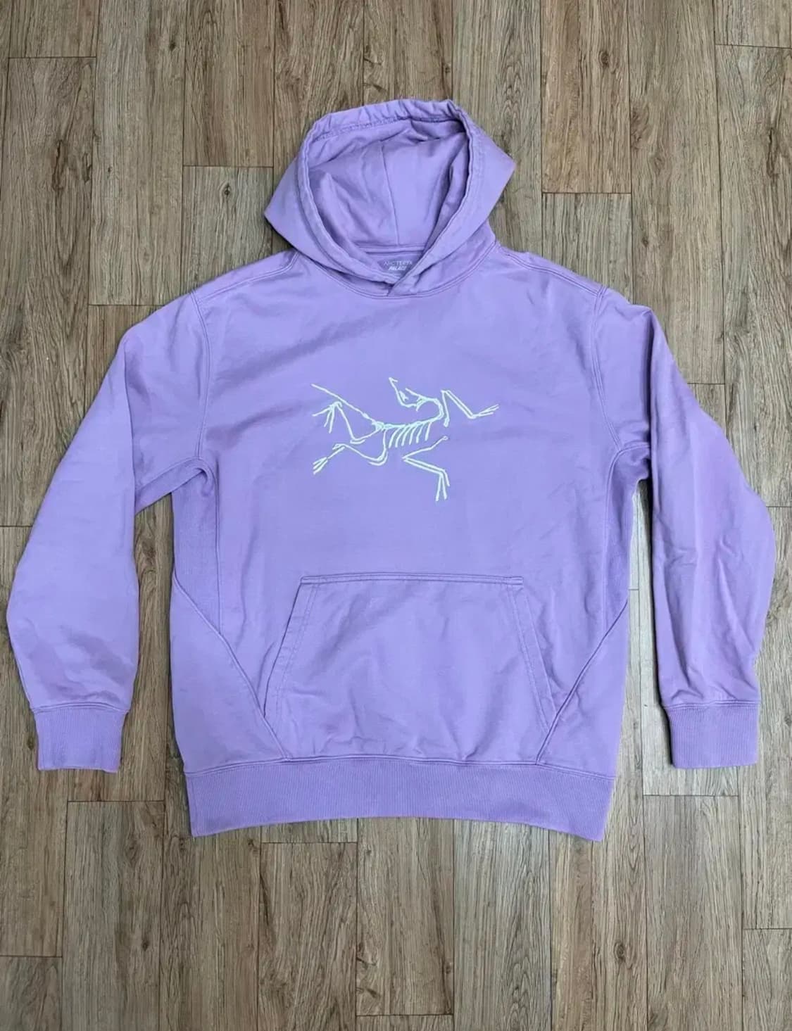 ( L ) 팔라스 X 아크테릭스 후드 헤이즈 상품이미지2