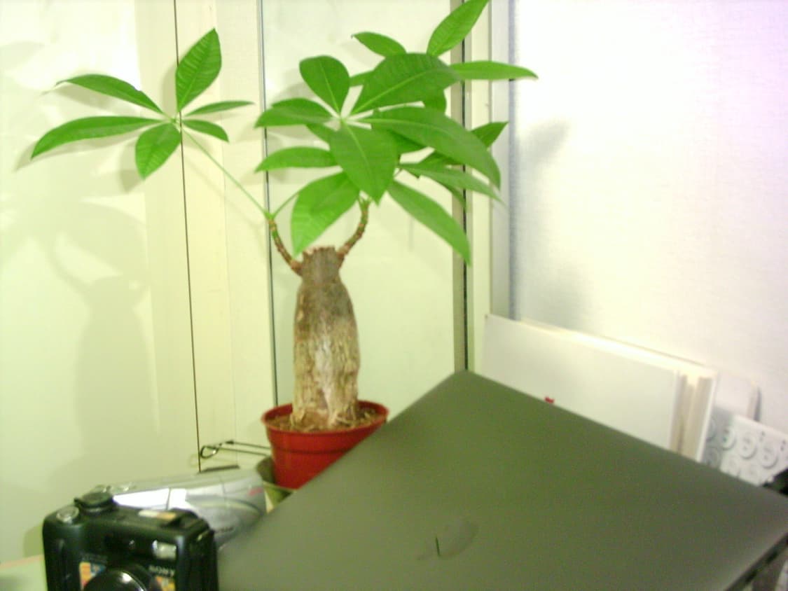 DXG 380 빈티지 디지털카메라 상품이미지9