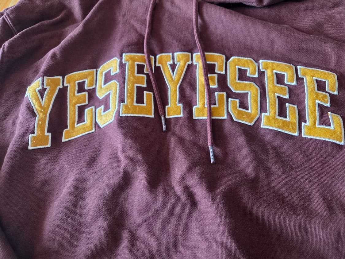 예스아이씨 아크 로고 후드 사이즈 L 상품이미지4