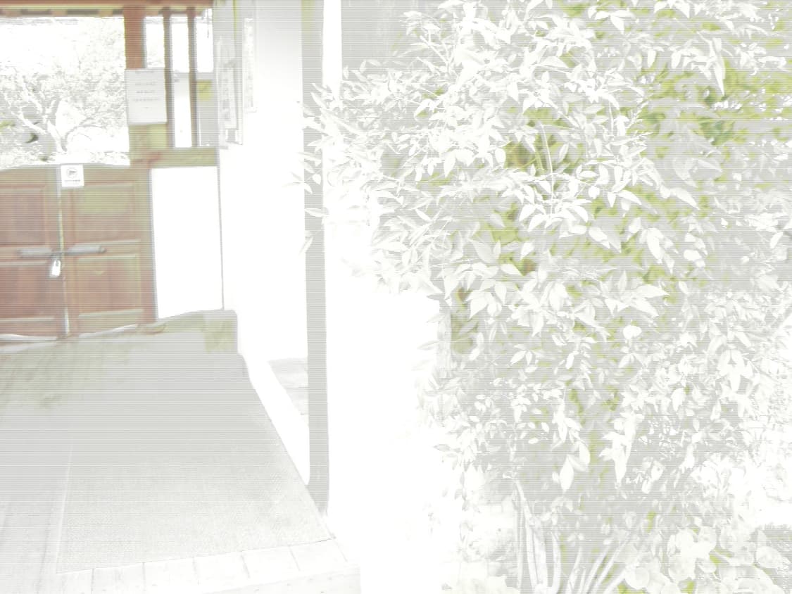 [작례O] 카시오 엑슬림 EX-Z600 CASIO EXILIM 실버 상품이미지9