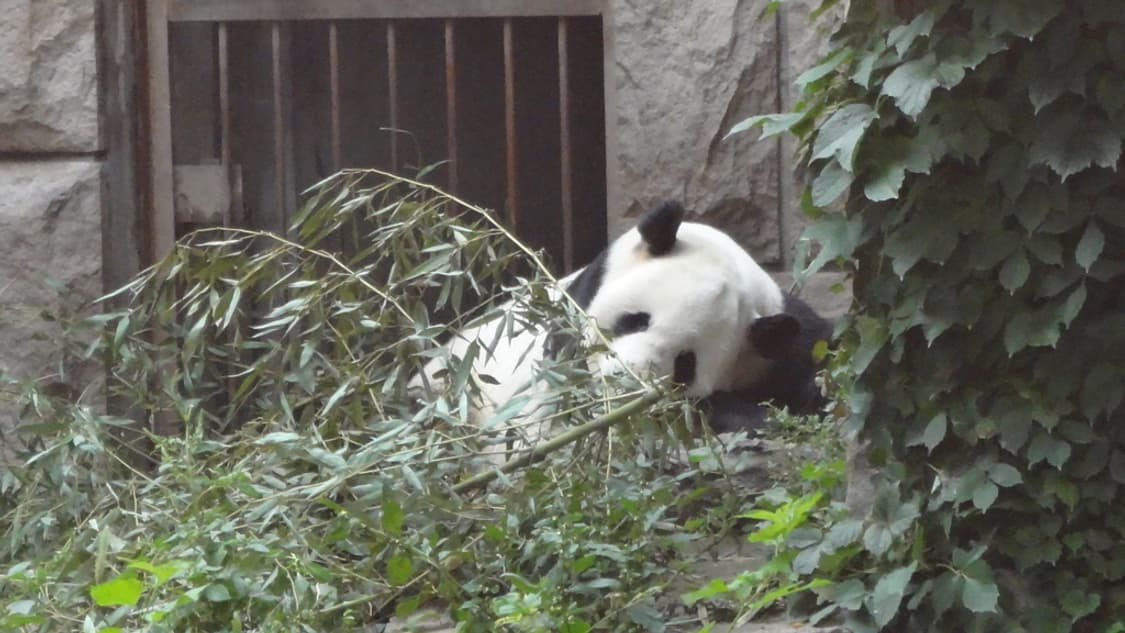 소니 사이버샷 Sony Cyber-shot DSC-WX30 블랙 상품이미지3