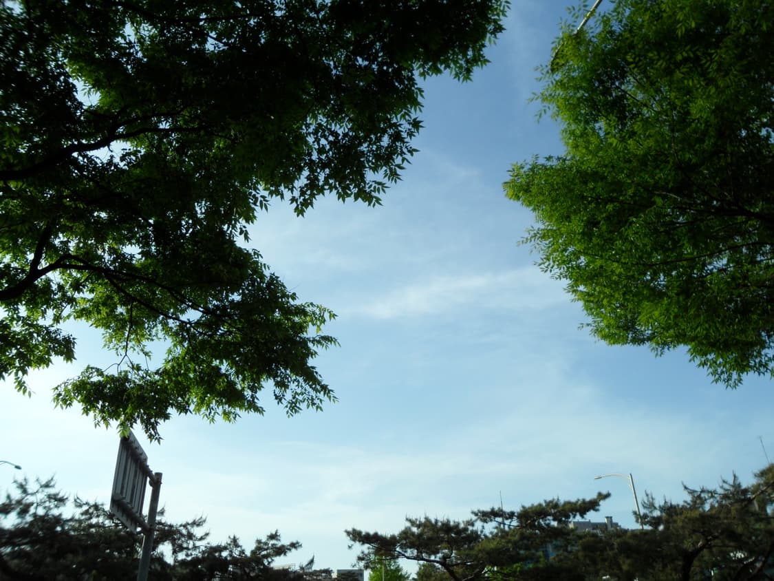 삼성 vluu st70 디카 상품이미지8