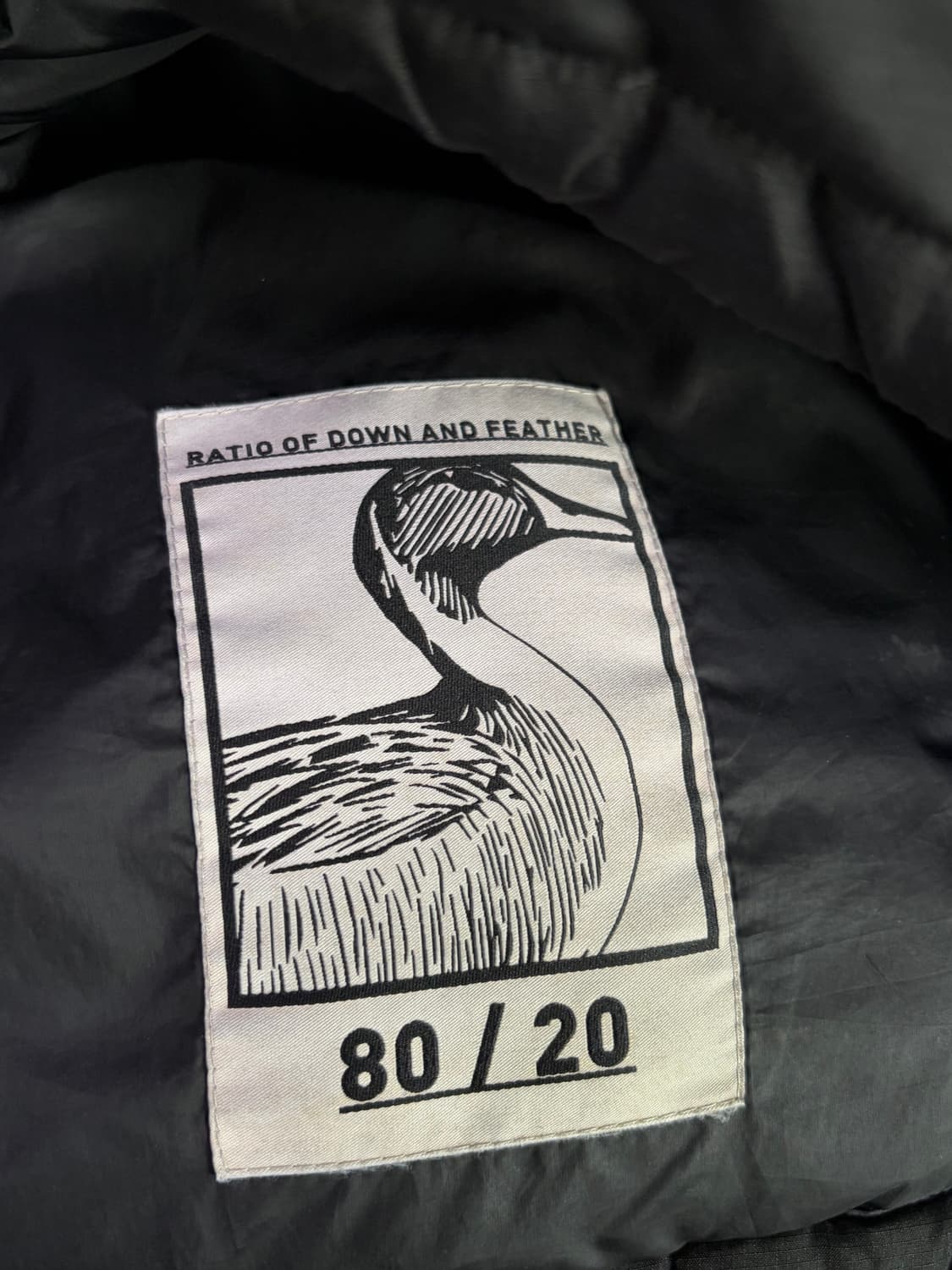 비바스튜디오 숏패딩 상품이미지7