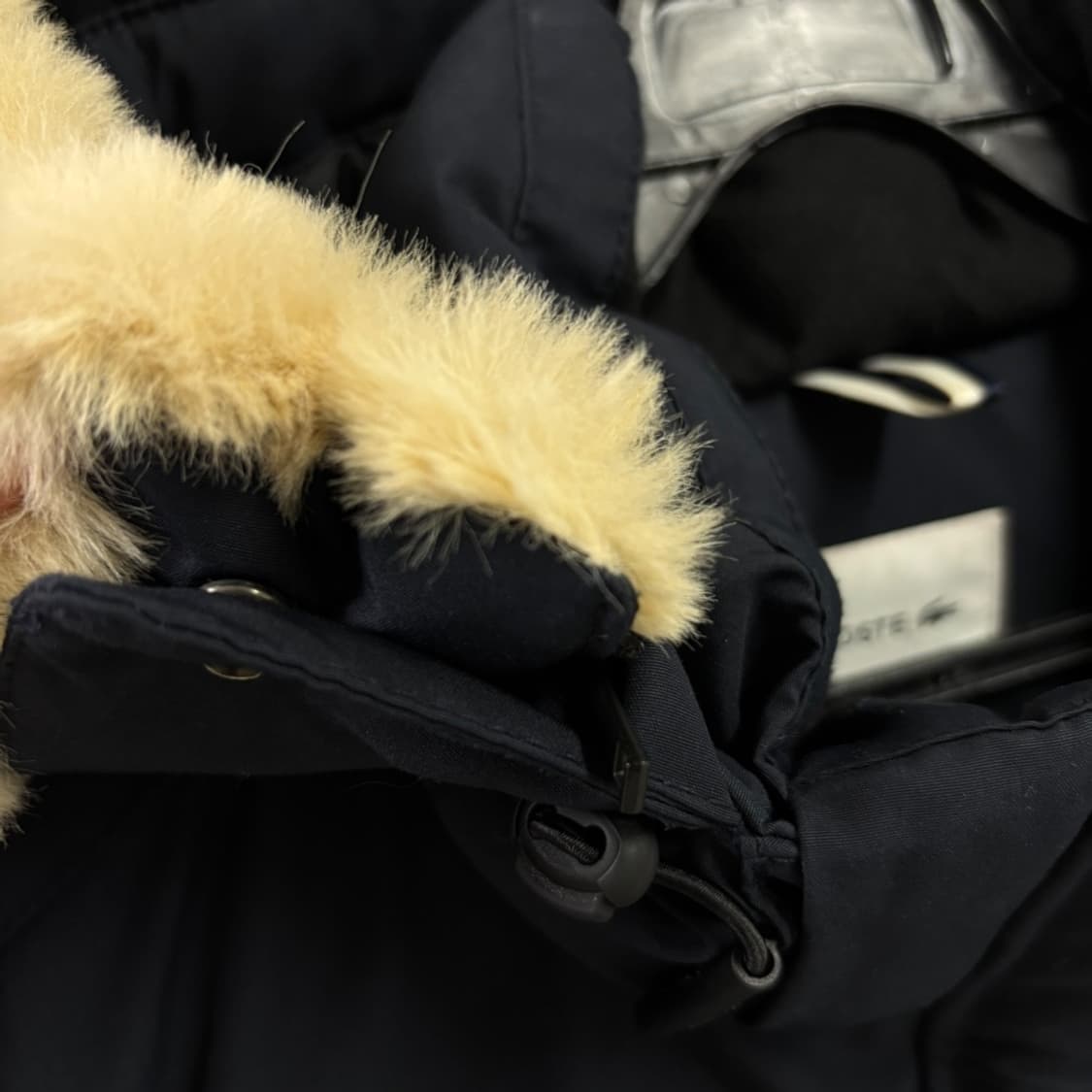 라코스테 후드탈착 다운패딩자켓 상품이미지4