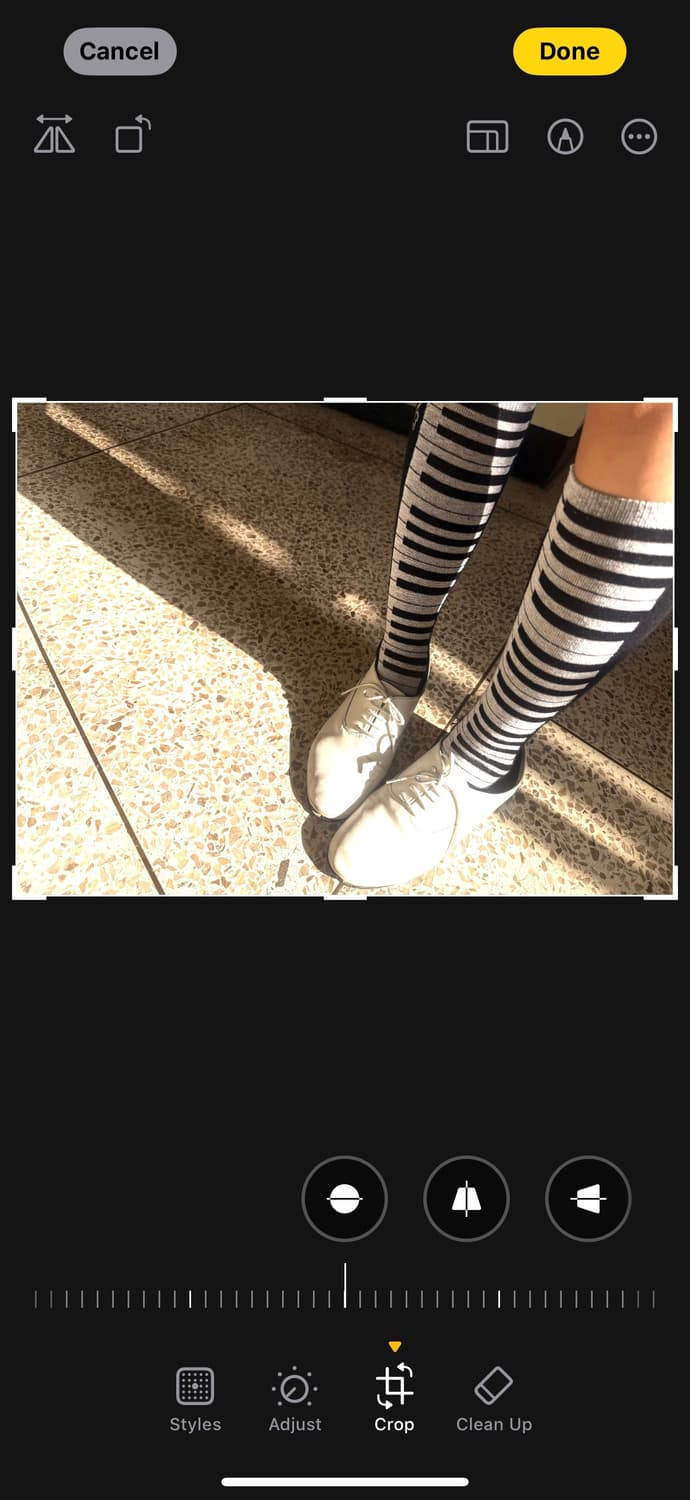 viburnum shop 피아노 니삭스 새거 상품이미지7