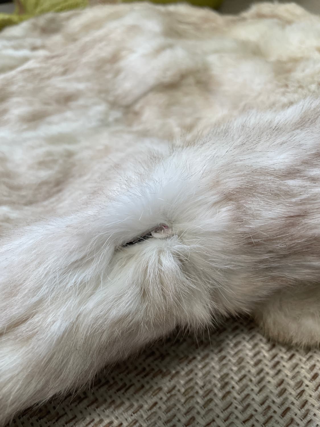 빈티지 밍크 퍼 코트 J03546 상품이미지9