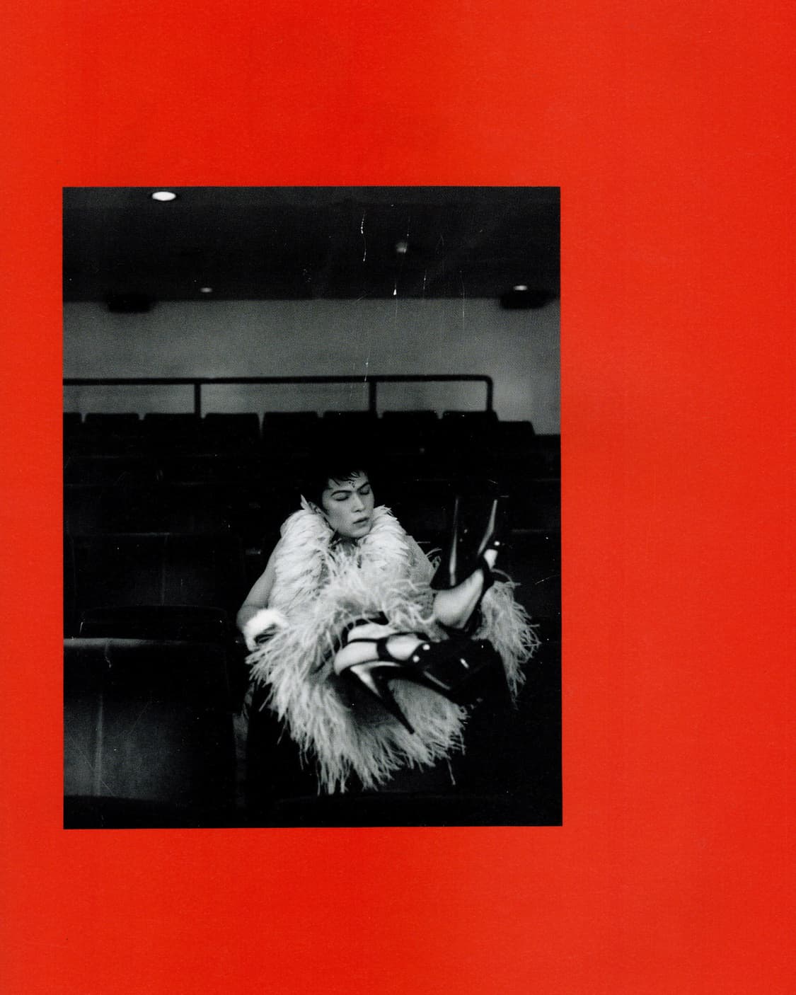 다케다 신지 사진집 - 毛玉 (털뭉치) (1994) 혼마 타카시 참여  상품이미지3