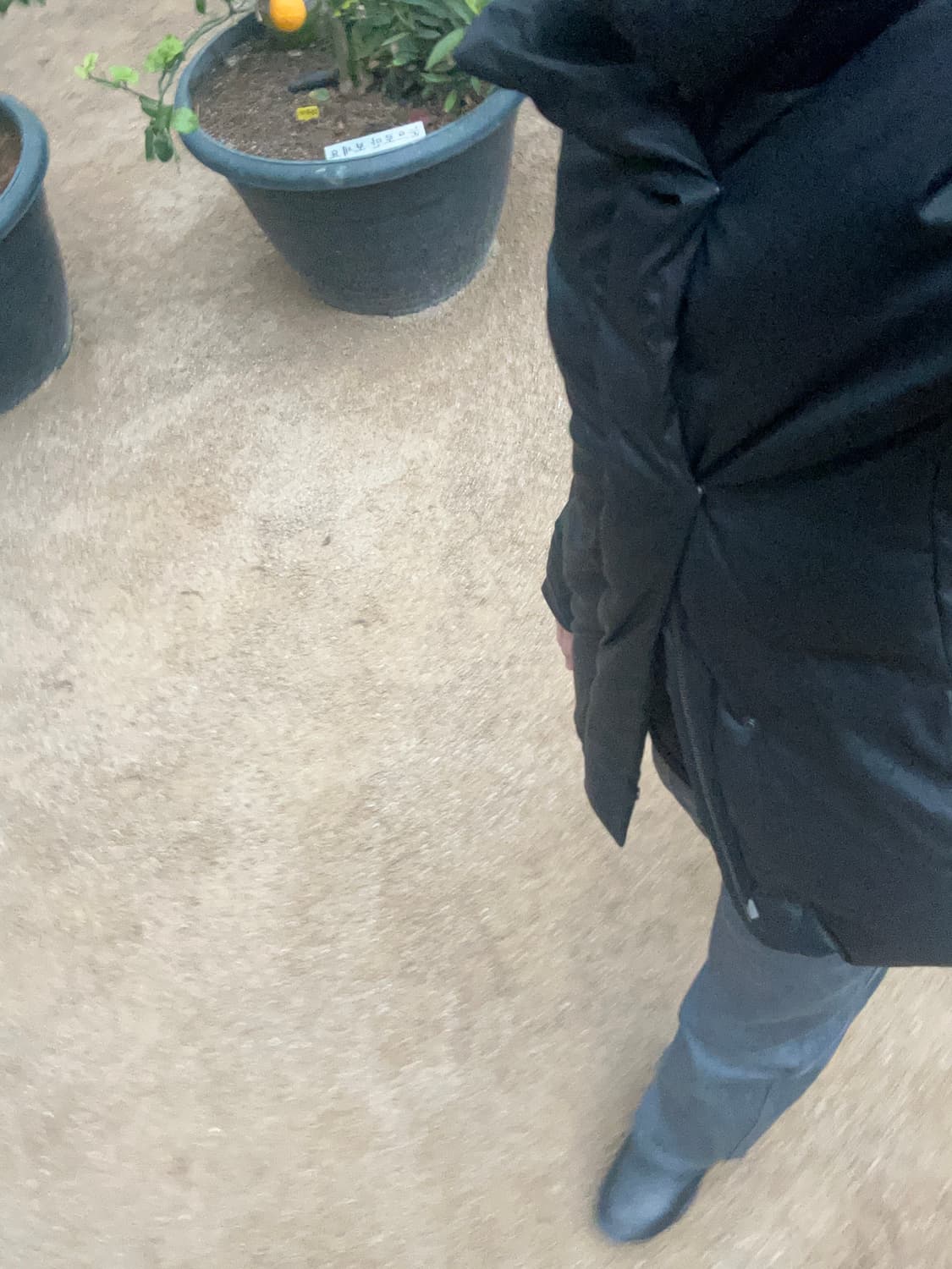 아모멘토 스트레이트 데님 상품이미지2