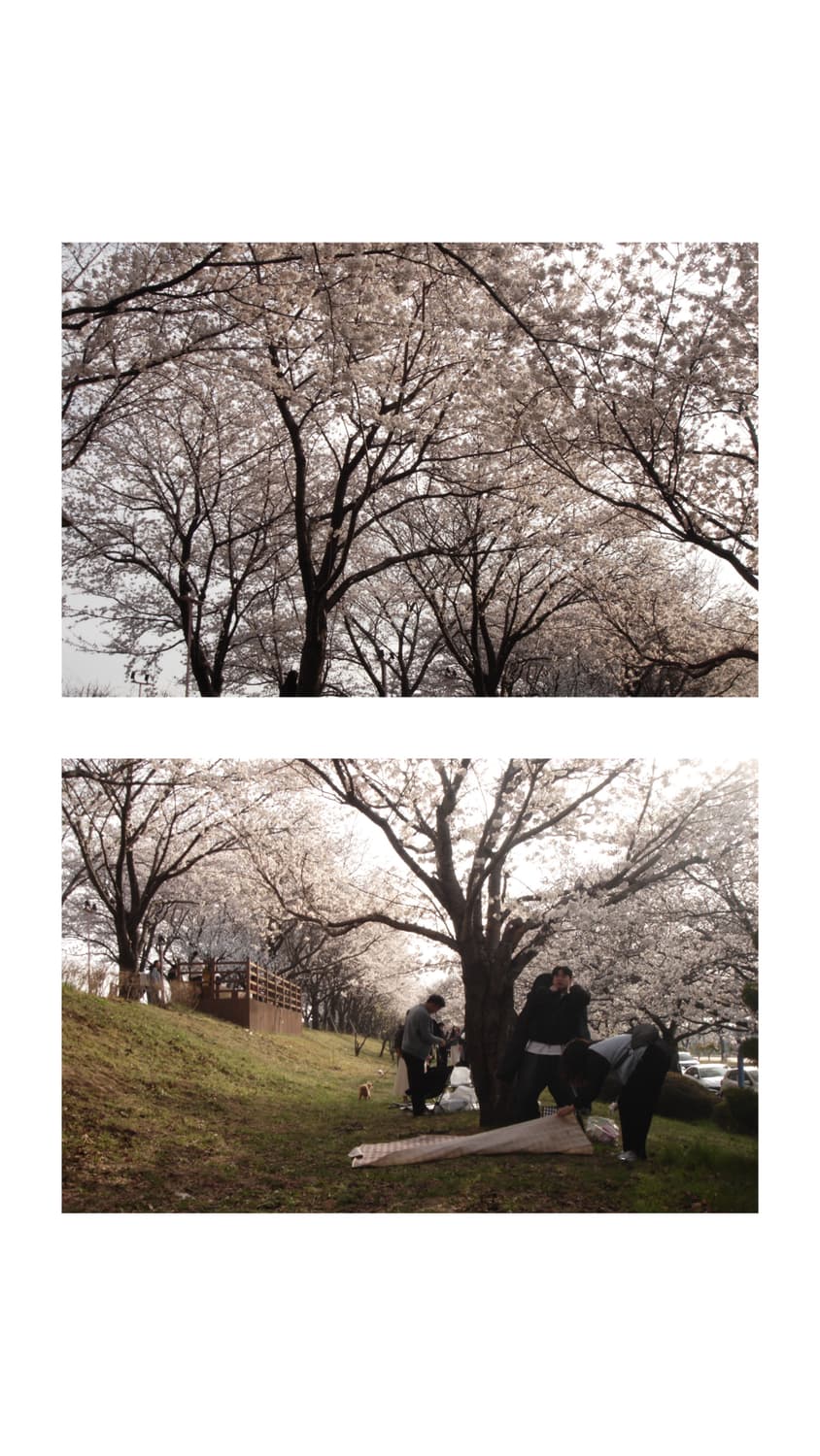 소니 사이버샷 dsc-t7 디지털카메라 상품이미지2