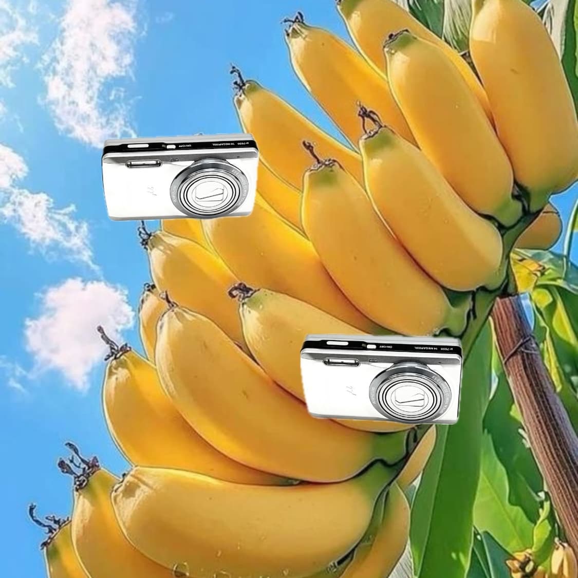 하츠투하츠&희귀!) Olympus Mju 7050 디카 카메라 상품이미지1