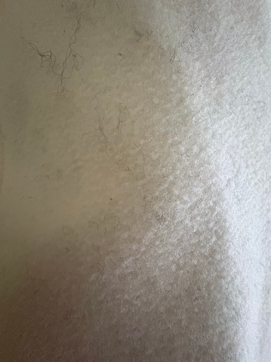 리즈리사 레이스 코트 상품이미지2