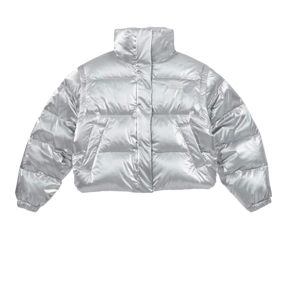 노스페이스 패딩 화이트라벨 글로시 다운자켓 실버 상품이미지1