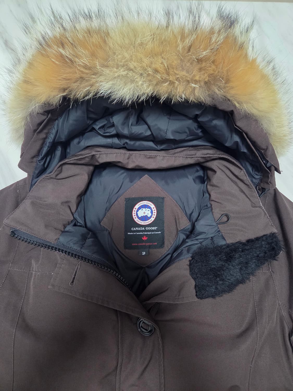 캐나다구스 도슨 패딩 상품이미지3