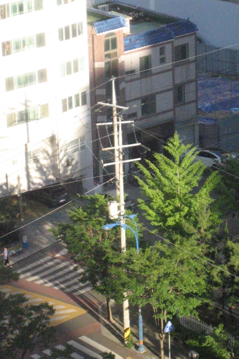 캐논 익서스 50 40 디카 디지털카메라 상품이미지3