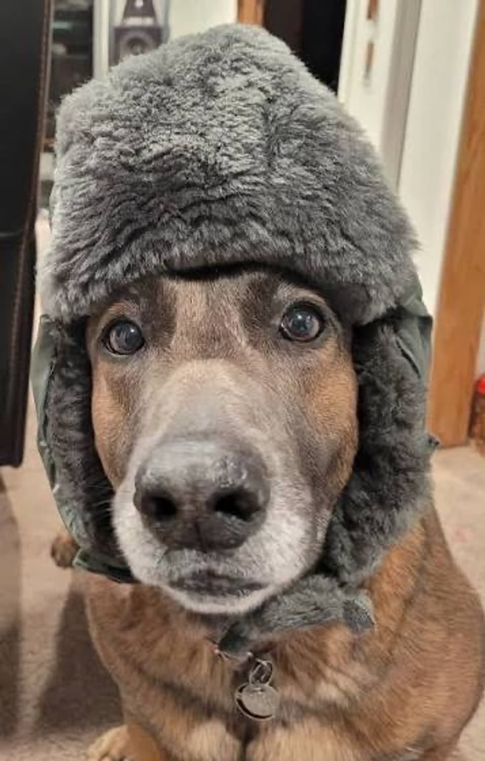 Djjkpe님 결제창 상품이미지1