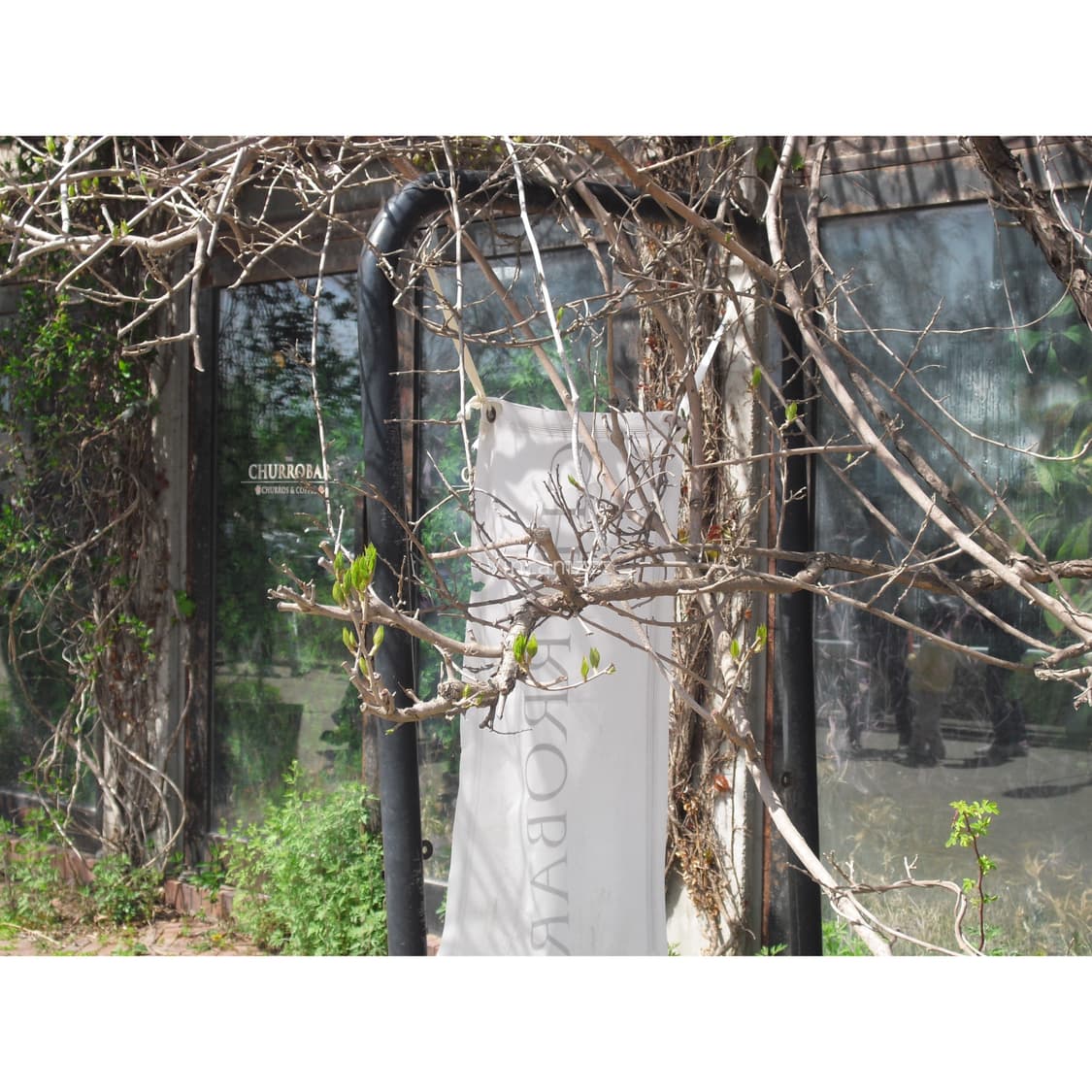 Casio 카시오 엑슬림 exilim EX-S5 디지털 카메라 상품이미지8