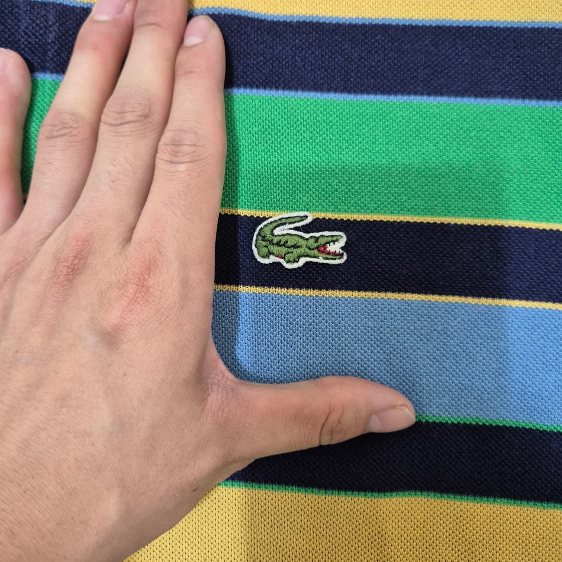 라코스테 프랑스 스트라이프 오버핏 반팔 카라티  상품이미지4