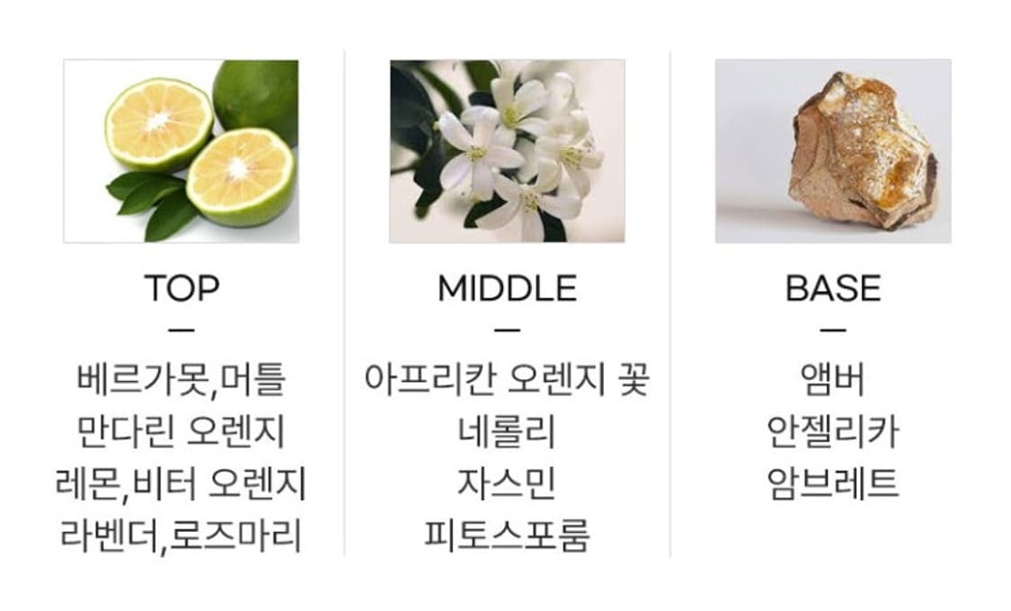 톰포드 네롤리 포르토피노 EDP 4ml 상품이미지3