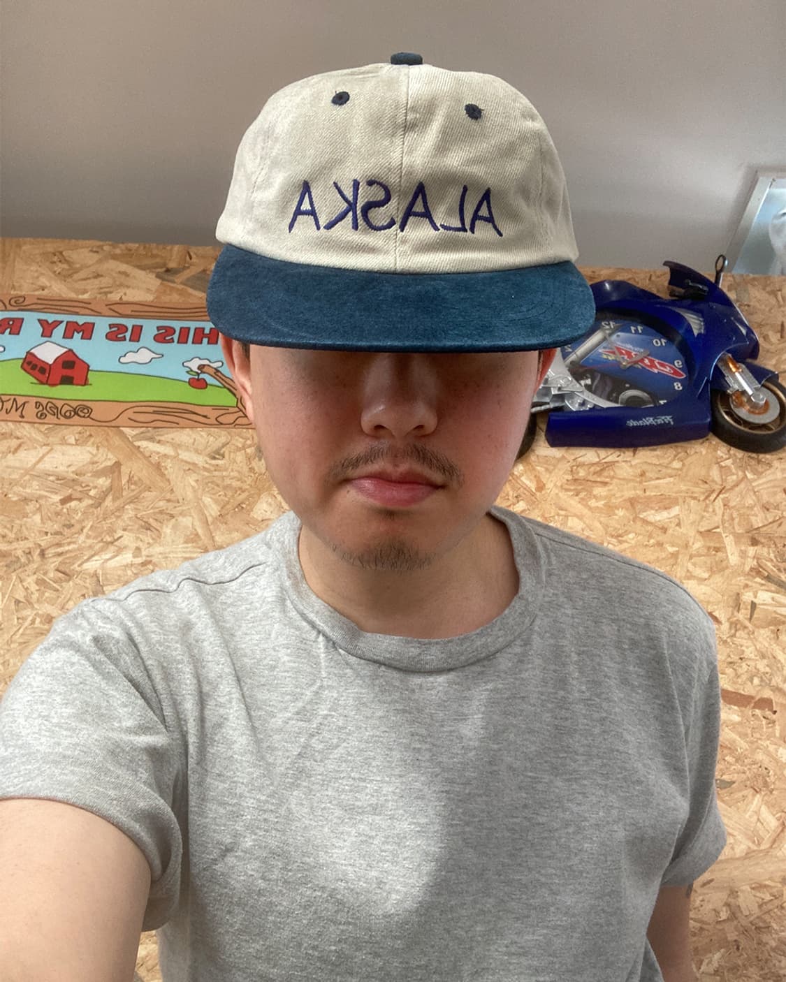 ALASKA two-tone 캡 상품이미지6