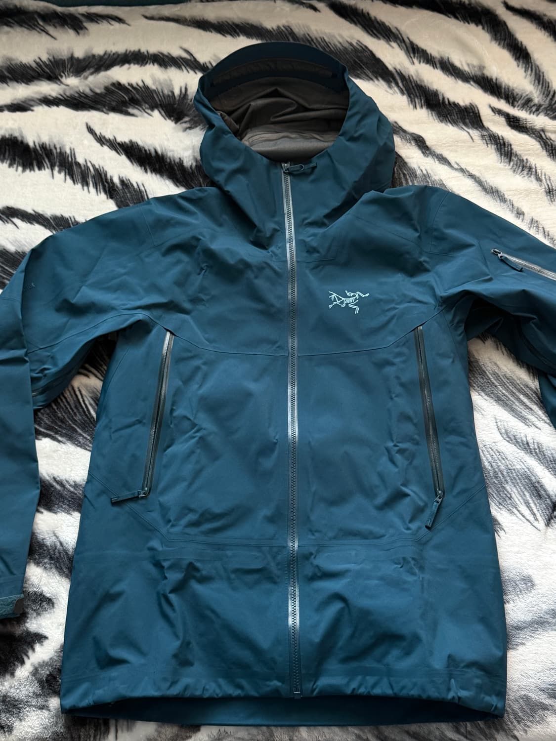 아크테릭스 세이버AR (M) 상품이미지1