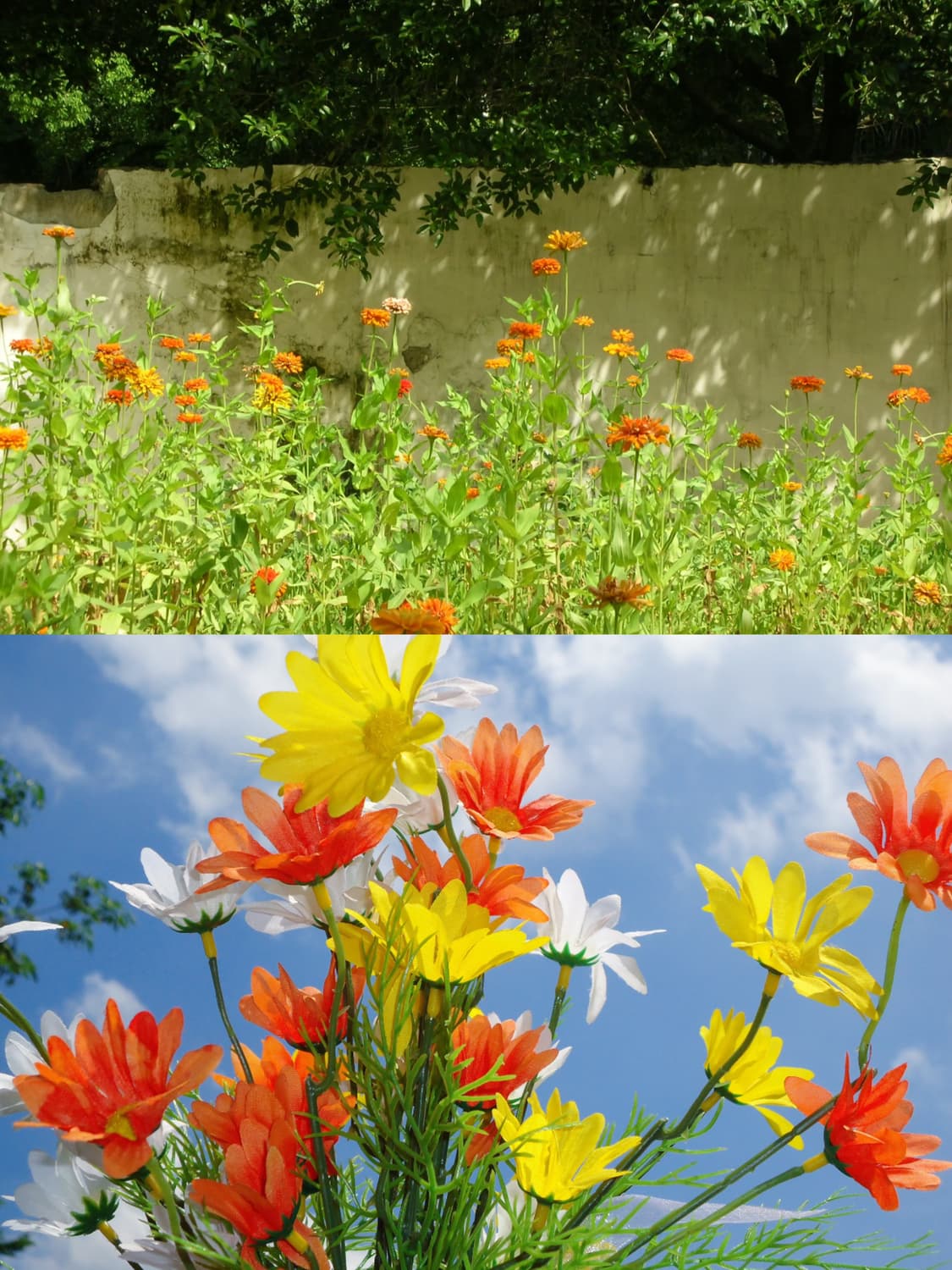 니콘 쿨픽스 L20 상품이미지2