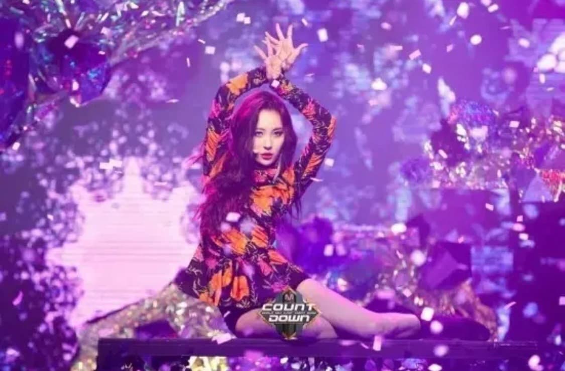 발렌시아가 블라우스(새상품) 상품이미지10