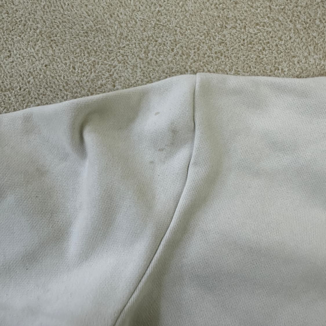 L 네셔널지오그래픽 화이트 맨투맨 0319D 상품이미지6