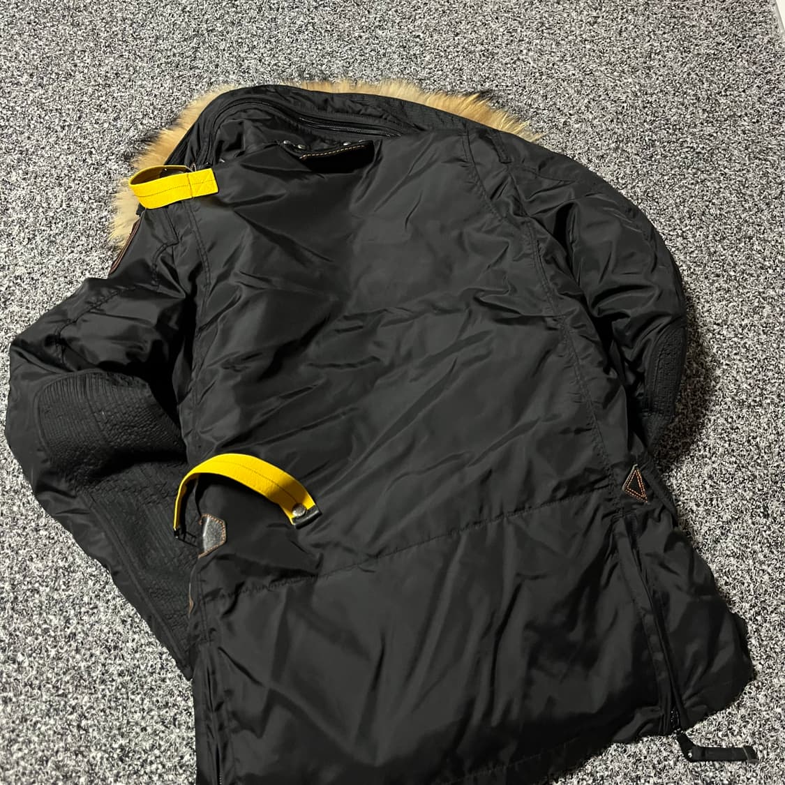 파라점퍼스 코요테 상품이미지3