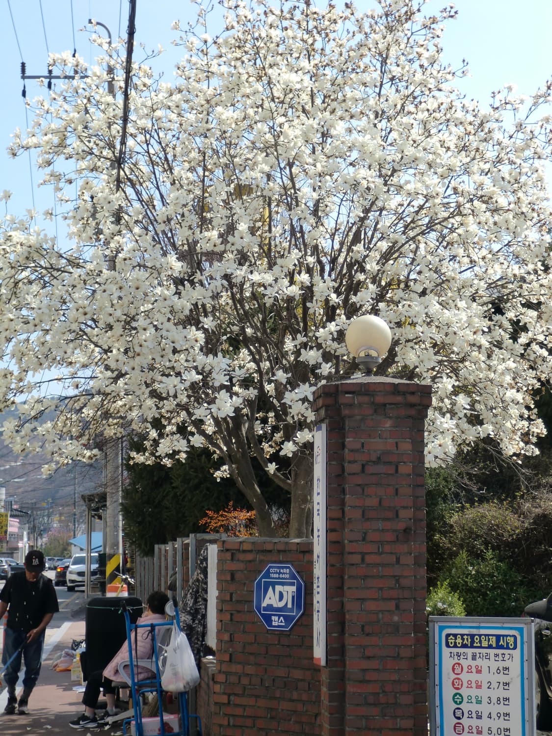 카시오 엑슬림 ex-z330(작례O) 상품이미지9