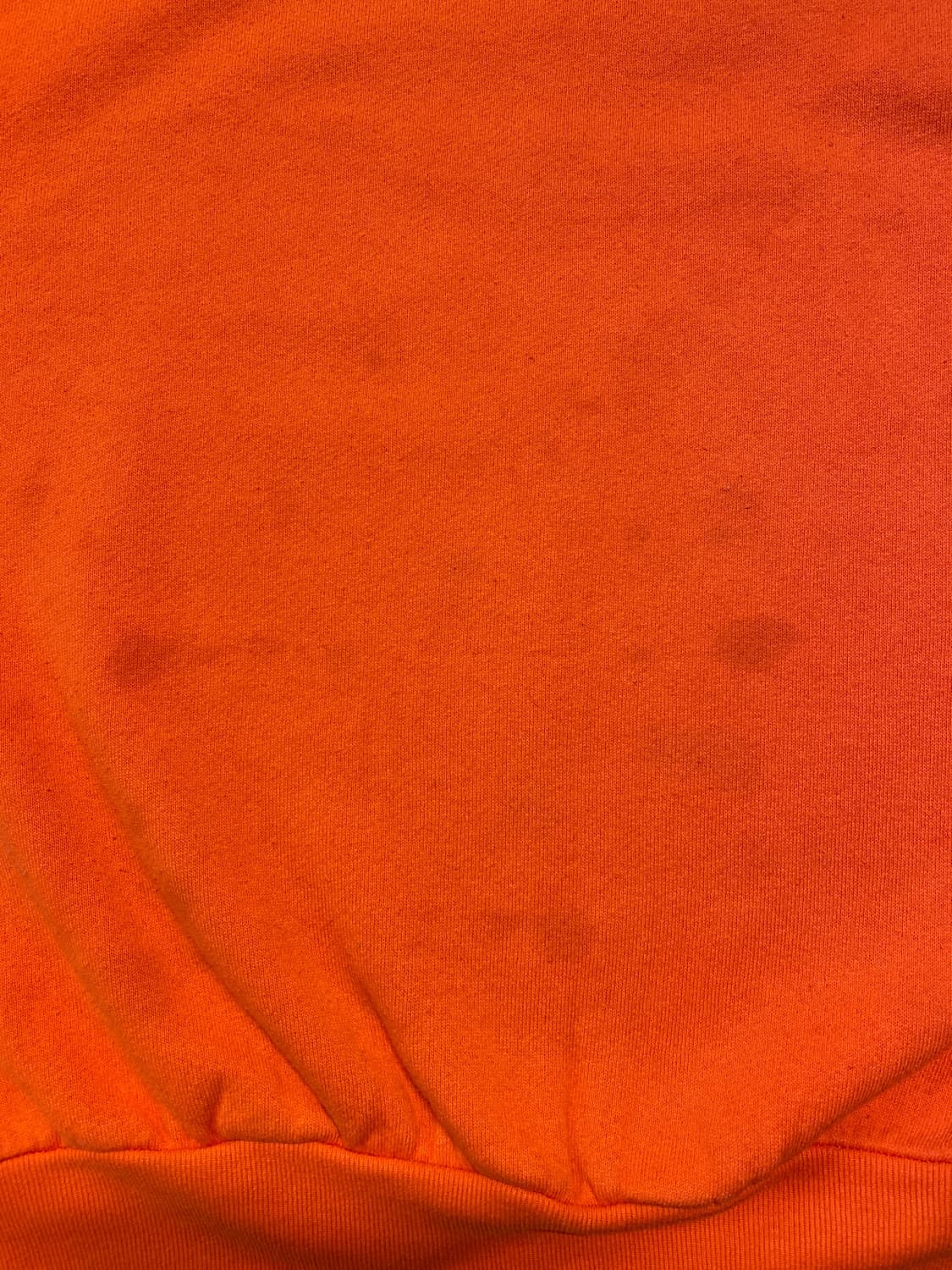 프룻 오브 더 룸 스웻셔츠 (Man L) AA1013 상품이미지8