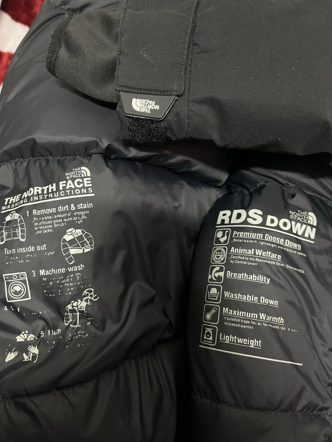 노스페이스 RDS 구스다운 패딩 105 상품이미지4