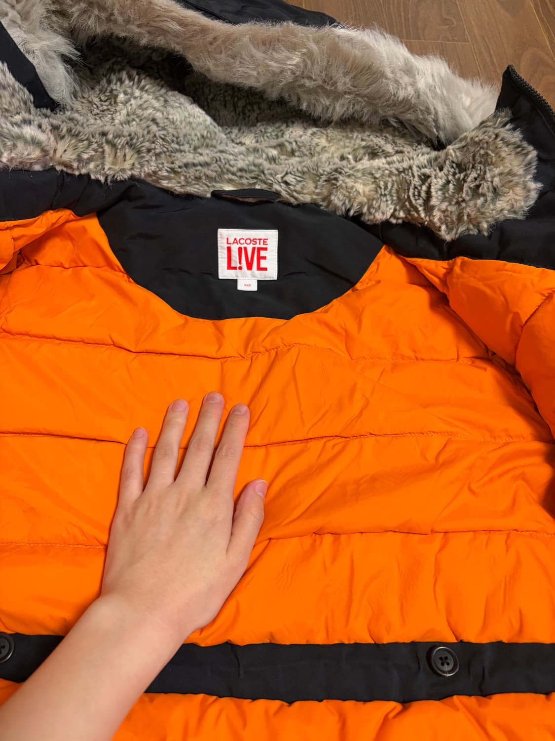 라코스테 라이브 패딩 상품이미지2