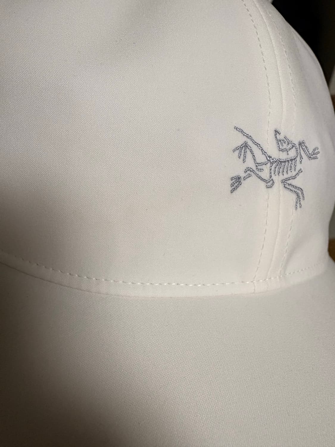 아크테릭스 스몰 버드 볼캡 상품이미지4