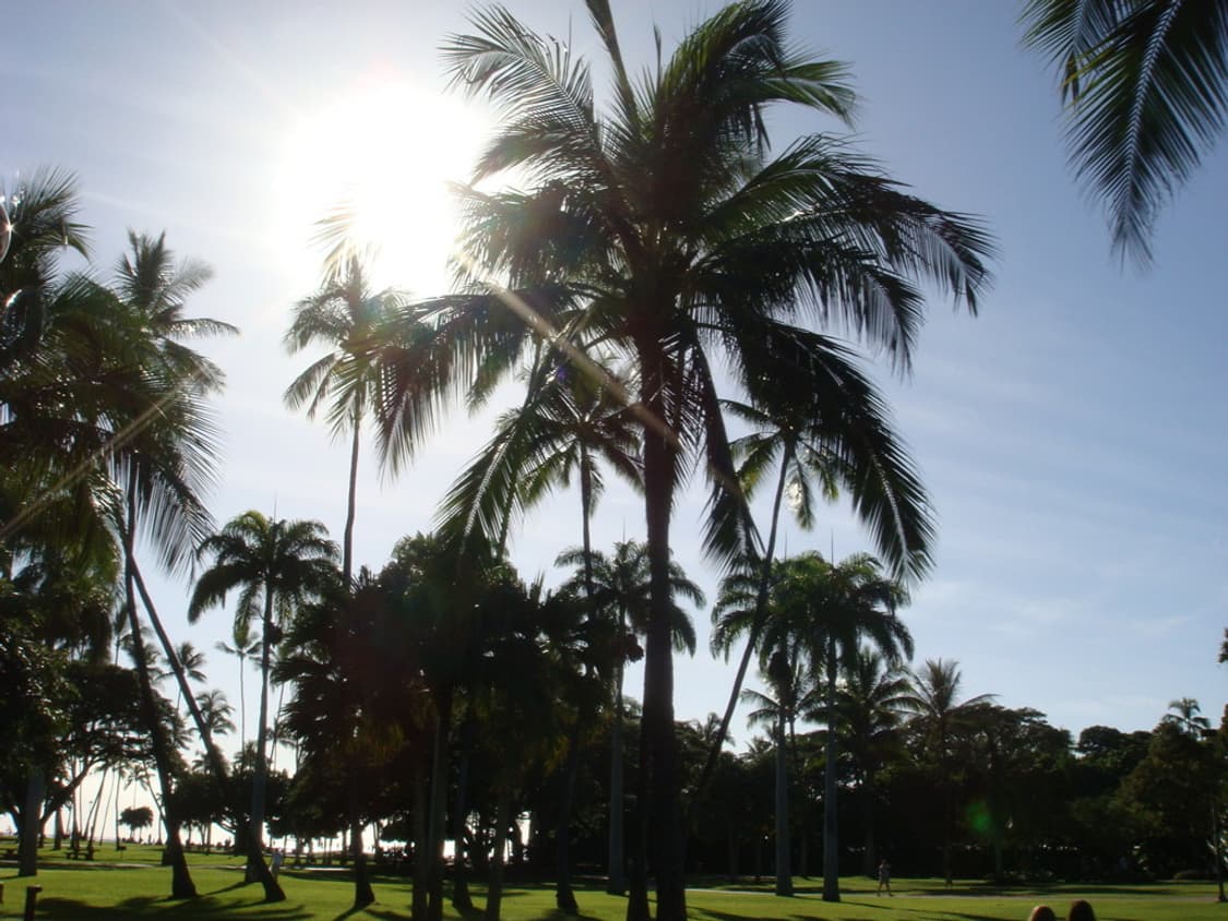 소니 사이버샷 Sony Cyber-shot DSC-T20 실버 상품이미지2