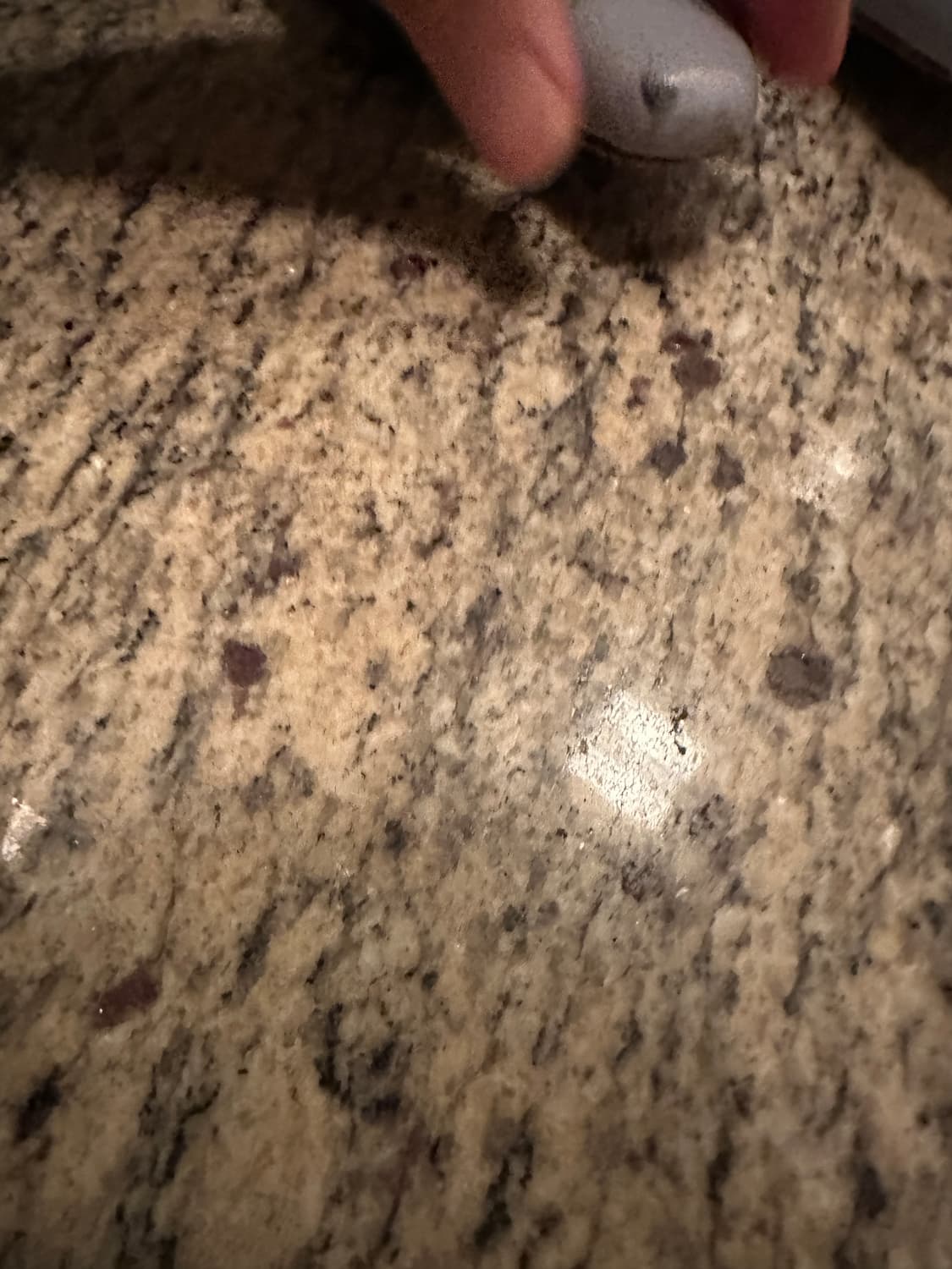 레지나표 시몬 앵클부츠 39 스카이블루 상품이미지4