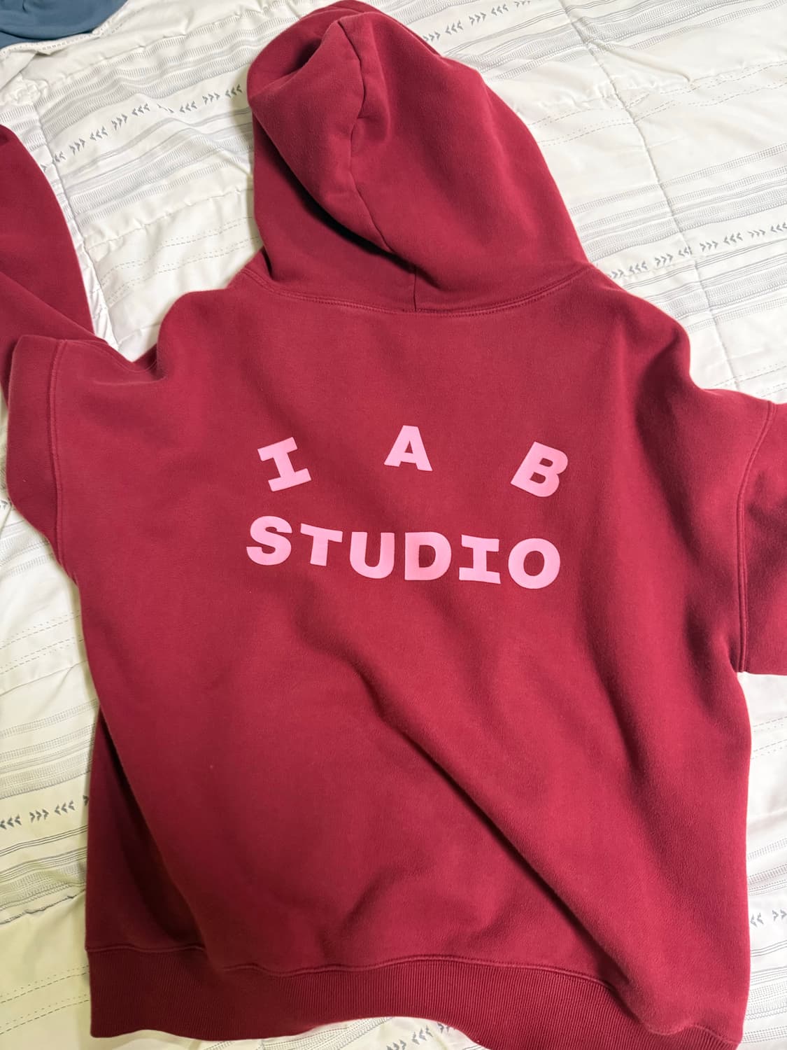 아이앱 라즈베리 상품이미지1