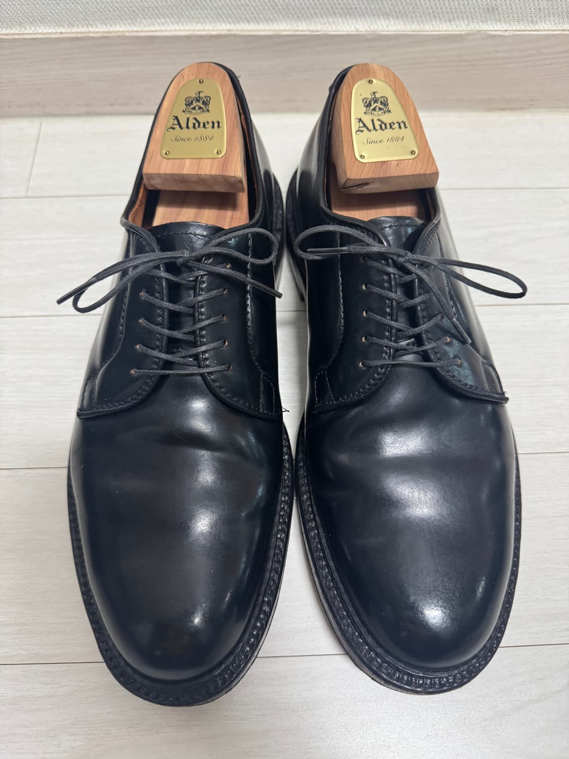 [9D] ALDEN 알든 9901 상품이미지1