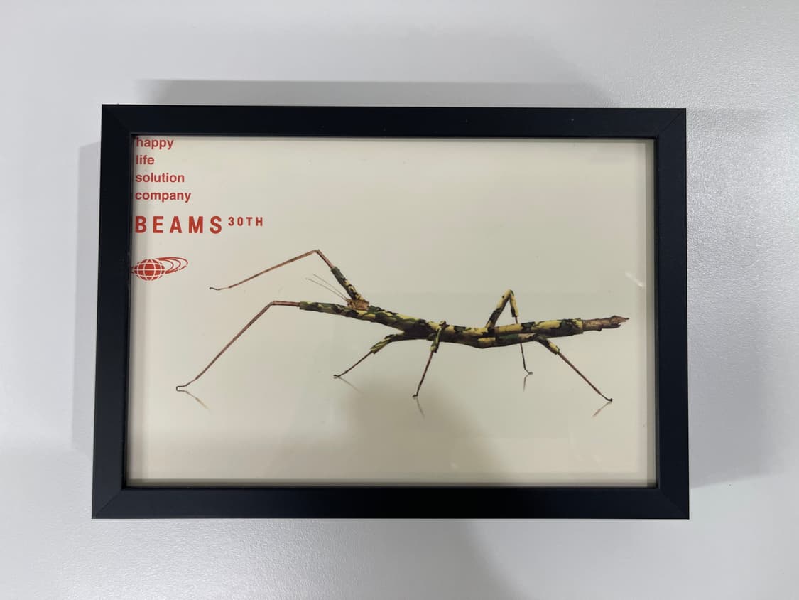 빔즈 30주년 기념 한정 아트 포토 Beams AD2006 상품이미지1