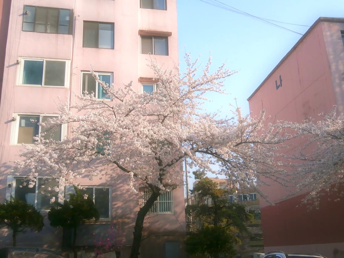 올림푸스 VH-510 핑크 빈티지디카 상품이미지3