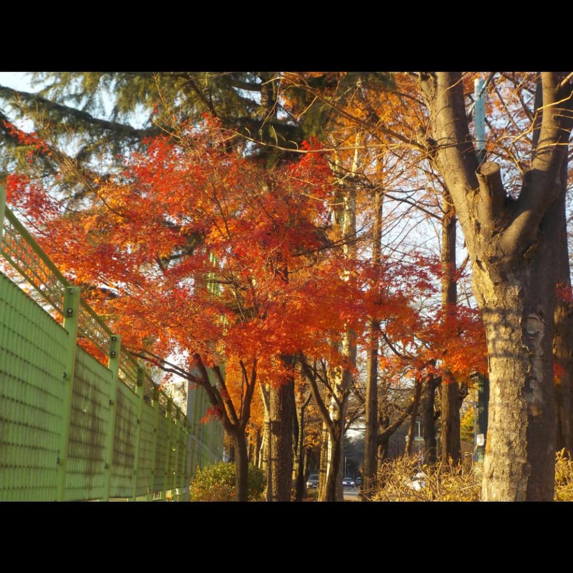 작례⭕️  니콘 쿨픽스 S33 W100 마린 블루 🌊   상품이미지4