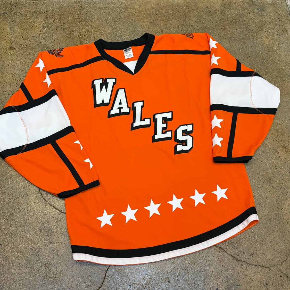 00s Made in canada 미국 빈티지 웨일즈 아이스하키 져지 상품이미지2