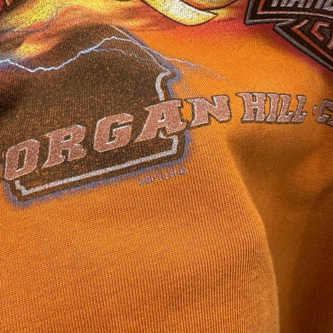 00s Harley-Davidson Thunder Longsleeve 상품이미지9