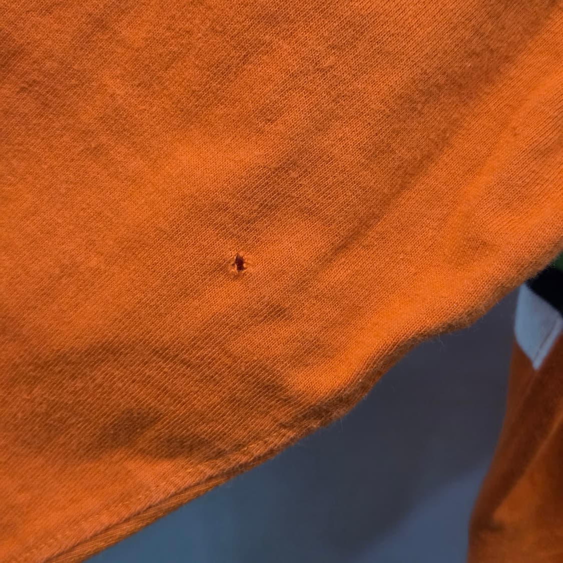 폴로랄프로렌 보이즈 럭비 롱슬리브 L/16/18 상품이미지5