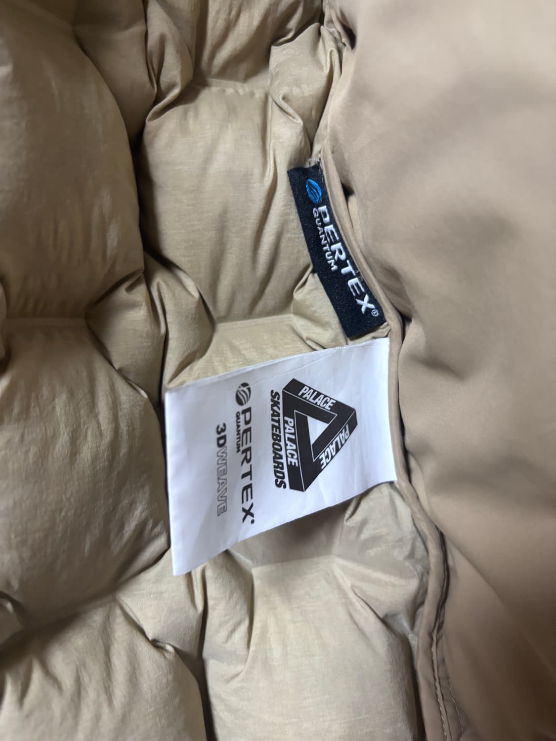 palace 22fw 퍼텍스 워크 다운 상품이미지3