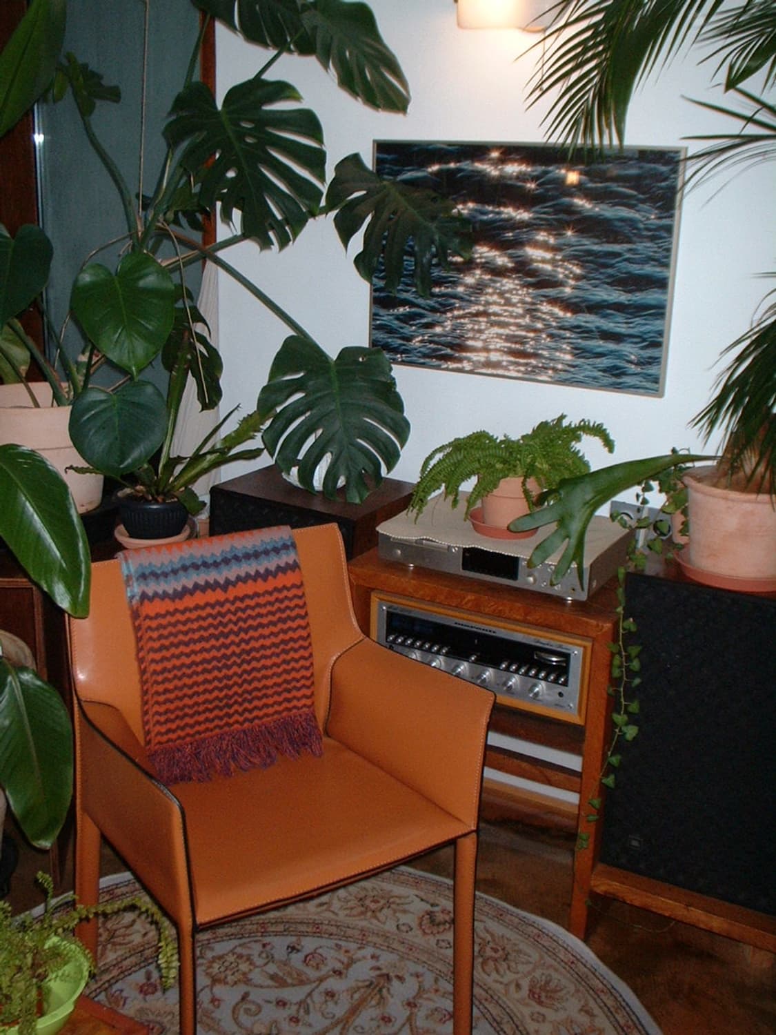 입문자 추천😄 파인픽스 a201 상품이미지2