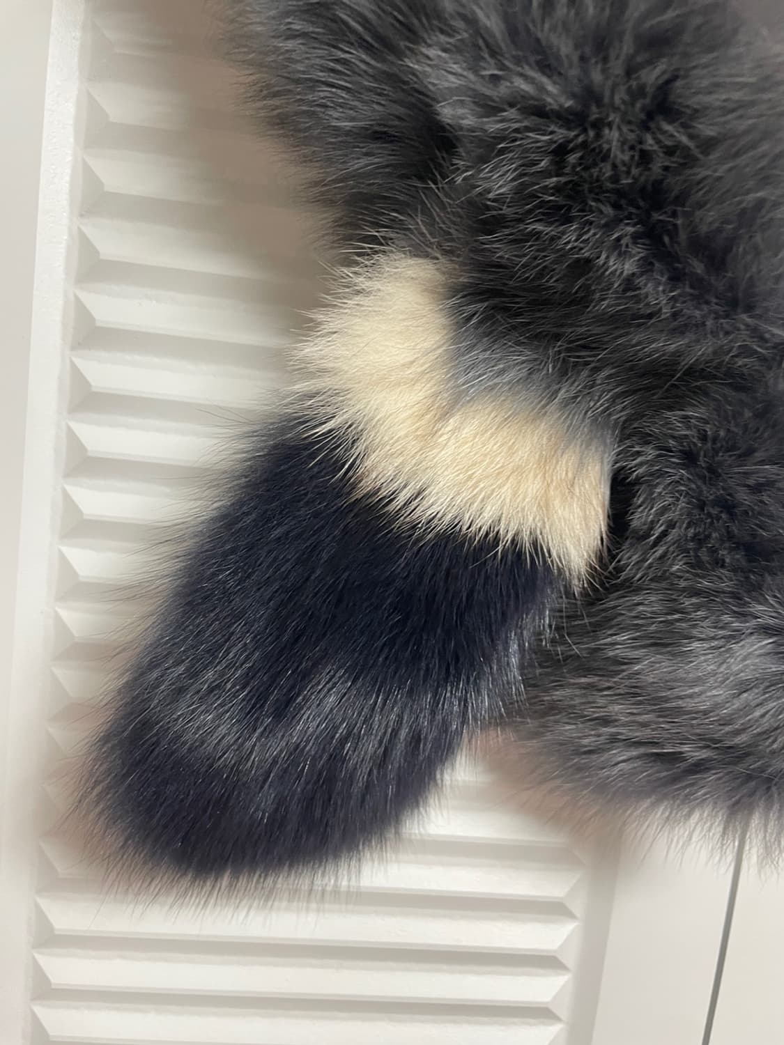 SJSJ 여우털 머플러 상품이미지3