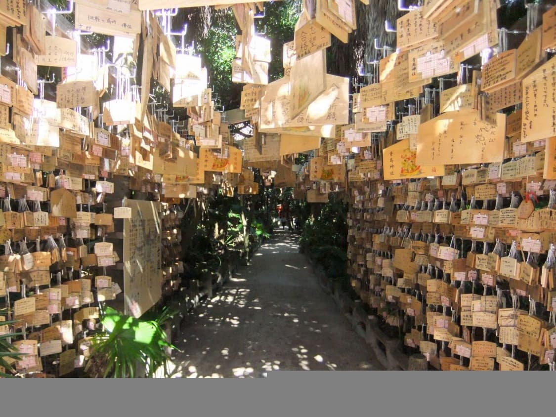 아일릿 카메라 후지필름 파인픽스 F80EXR 작례o 상품이미지9