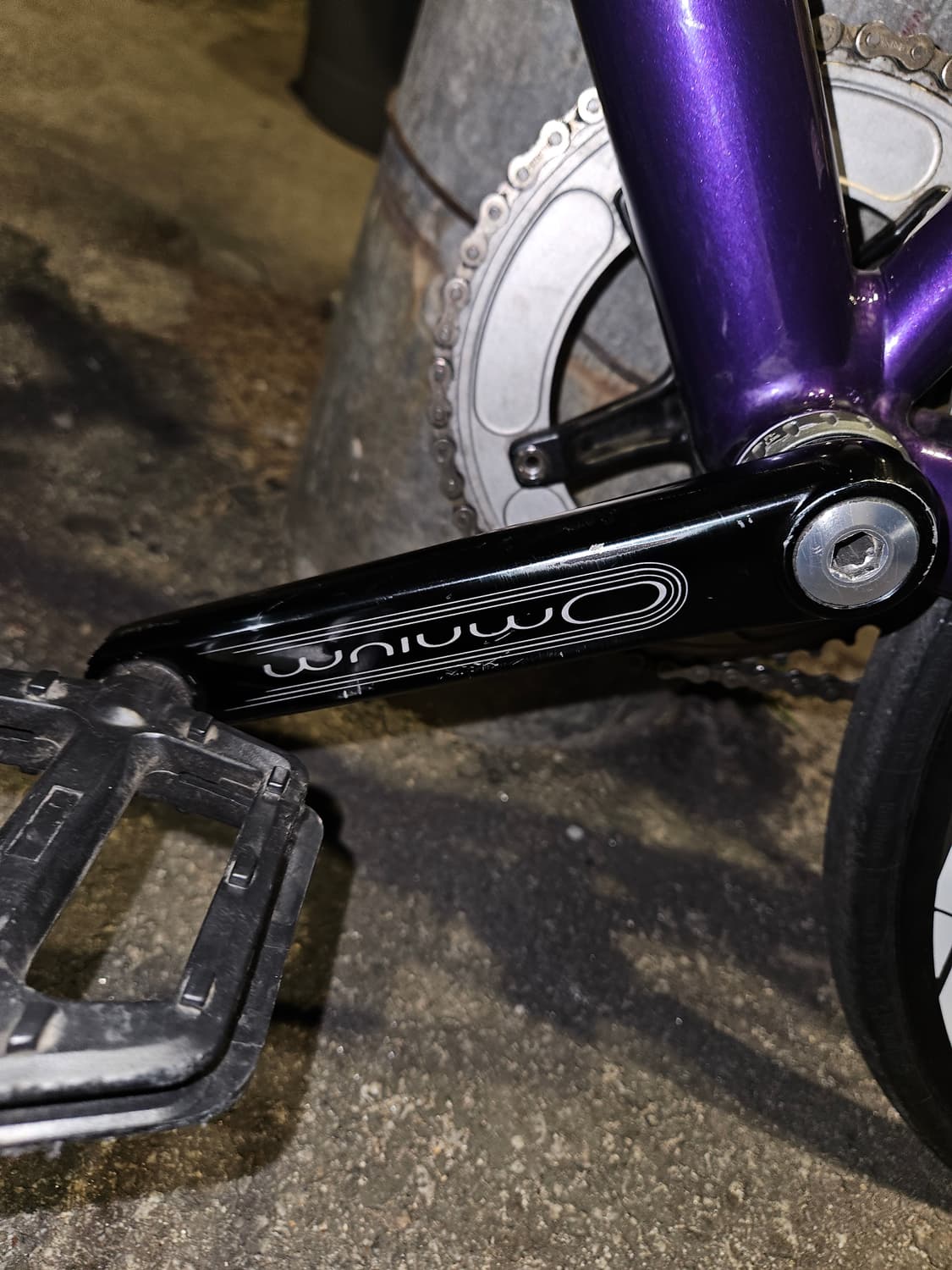 엔진11 크릿디 에그플랜트 상품이미지5