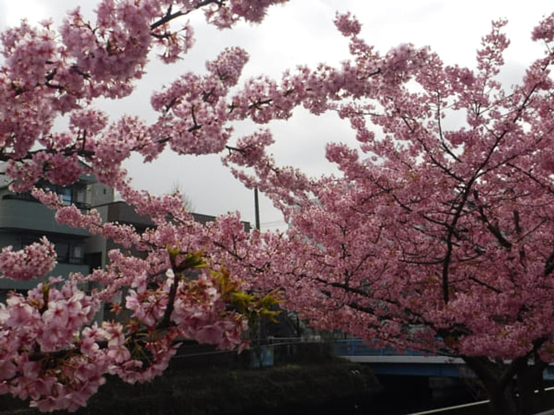 ​📷 🐳🫧 청량함 가득 🫧🐳 후지필름 FinePix XP80 상품이미지6